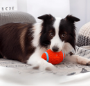 Bola Super Resistente para Pets