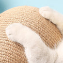 Bola de Arranhar para Gatos - CatBall