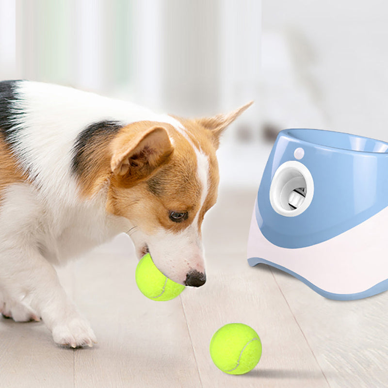 Arremessador Automático De Bolinha para Pet