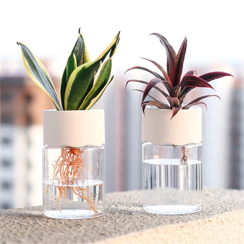 Vaso Hidropônico Transparente para Decoração de Mesa