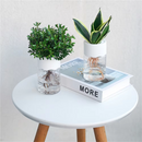Vaso Hidropônico Transparente para Decoração de Mesa