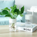 Vaso Hidropônico Transparente para Decoração de Mesa