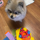 Petisco Pet - Brinquedo Interativo para seu pet