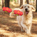 Kit Leve 3 Pague 2 - 1 Pet Ball + Polvo Amigo + Petisco Pet