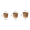 Vaso Decorativo de Ervas Marinhas Naturais