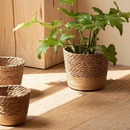 Vaso Decorativo de Ervas Marinhas Naturais