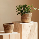 Vaso Decorativo de Ervas Marinhas Naturais
