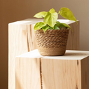 Vaso Decorativo de Ervas Marinhas Naturais