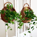 Cesta Suspensa de Rattan Artesanal para Plantas