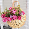 Cesta Suspensa de Rattan Artesanal para Plantas
